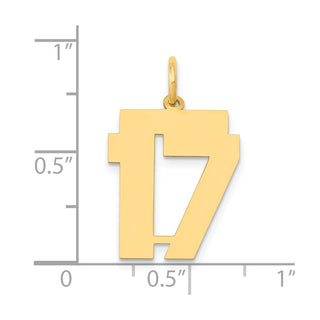 14k Yellow Gold Medium Polished Number 17 Charm LM17