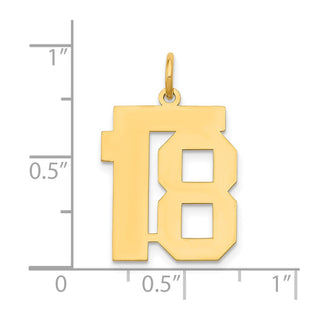 14k Yellow Gold Medium Polished Number 18 Charm LM18