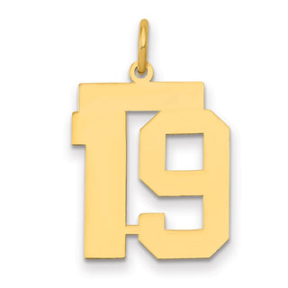 14k Yellow Gold Medium Polished Number 19 Charm LM19