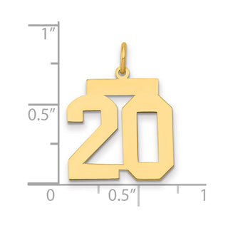 14k Yellow Gold Medium Polished Number 20 Charm LM20