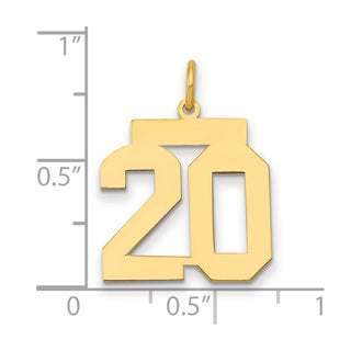 14k Yellow Gold Medium Polished Number 20 Charm LM20