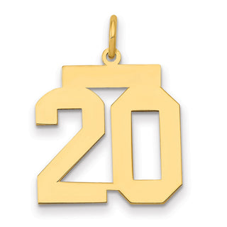 14k Yellow Gold Medium Polished Number 20 Charm LM20
