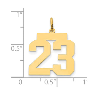 14k Yellow Gold Medium Polished Number 23 Charm LM23