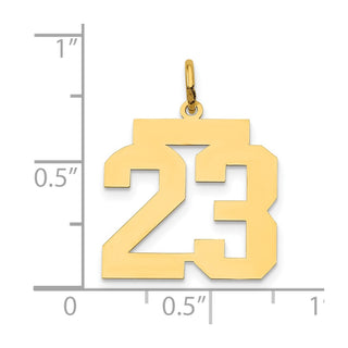 14k Yellow Gold Medium Polished Number 23 Charm LM23