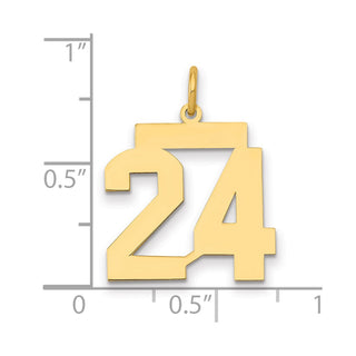 14k Yellow Gold Medium Polished Number 24 Charm LM24