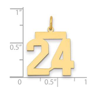 14k Yellow Gold Medium Polished Number 24 Charm LM24