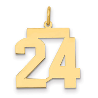 14k Yellow Gold Medium Polished Number 24 Charm LM24