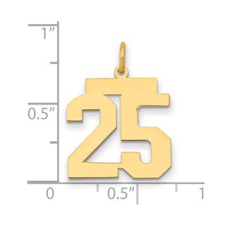 14k Yellow Gold Medium Polished Number 25 Charm LM25