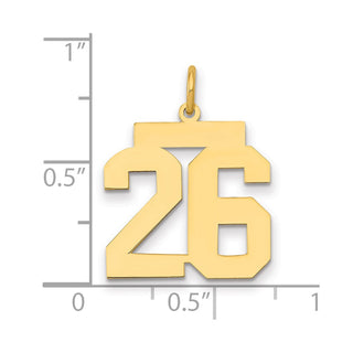 14k Yellow Gold Medium Polished Number 26 Charm LM26