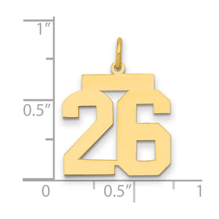 14k Yellow Gold Medium Polished Number 26 Charm LM26