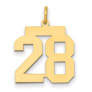 14k Yellow Gold Medium Polished Number 28 Charm LM28
