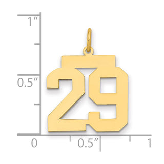 14k Yellow Gold Medium Polished Number 29 Charm LM29