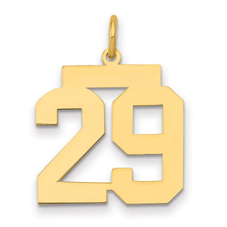 14k Yellow Gold Medium Polished Number 29 Charm LM29