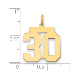14k Yellow Gold Medium Polished Number 30 Charm LM30