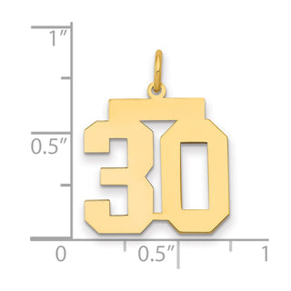 14k Yellow Gold Medium Polished Number 30 Charm LM30