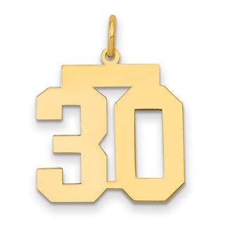 14k Yellow Gold Medium Polished Number 30 Charm LM30