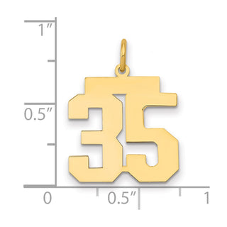 14k Yellow Gold Medium Polished Number 35 Charm LM35
