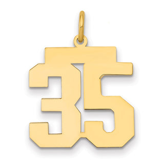 14k Yellow Gold Medium Polished Number 35 Charm LM35