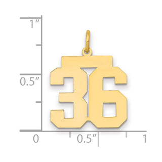 14k Yellow Gold Medium Polished Number 36 Charm LM36