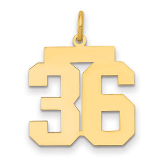 14k Yellow Gold Medium Polished Number 36 Charm LM36