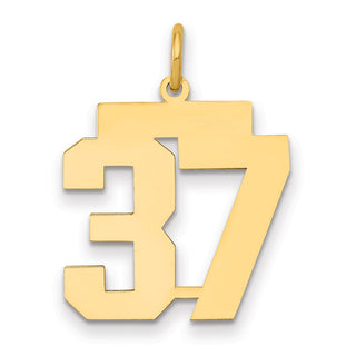 14k Yellow Gold Medium Polished Number 37 Charm LM37