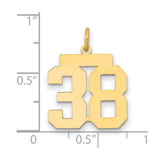 14k Yellow Gold Medium Polished Number 38 Charm LM38