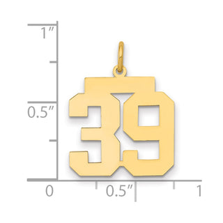 14k Yellow Gold Medium Polished Number 39 Charm LM39