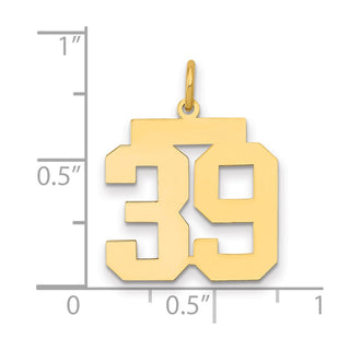 14k Yellow Gold Medium Polished Number 39 Charm LM39