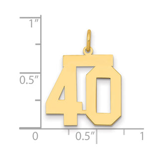 14k Yellow Gold Medium Polished Number 40 Charm LM40