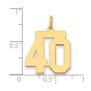 14k Yellow Gold Medium Polished Number 40 Charm LM40