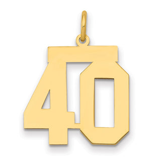 14k Yellow Gold Medium Polished Number 40 Charm LM40