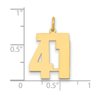 14k Yellow Gold Medium Polished Number 41 Charm LM41
