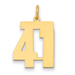 14k Yellow Gold Medium Polished Number 41 Charm LM41