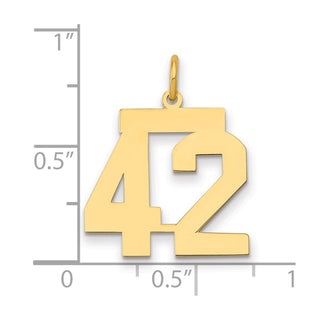 14k Yellow Gold Medium Polished Number 42 Charm LM42