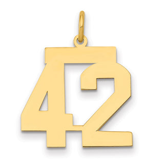 14k Yellow Gold Medium Polished Number 42 Charm LM42