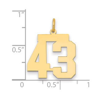 14k Yellow Gold Medium Polished Number 43 Charm LM43