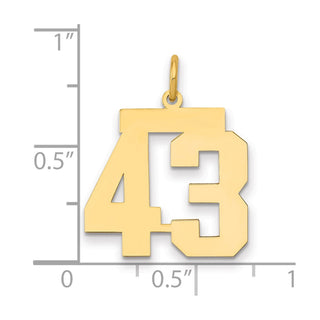 14k Yellow Gold Medium Polished Number 43 Charm LM43