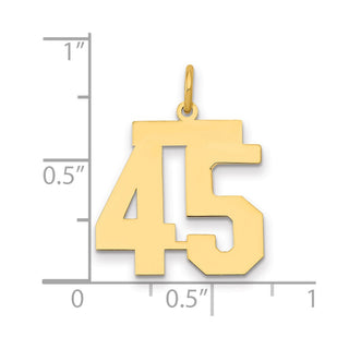 14k Yellow Gold Medium Polished Number 45 Charm LM45