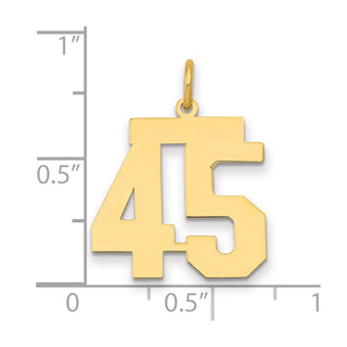 14k Yellow Gold Medium Polished Number 45 Charm LM45