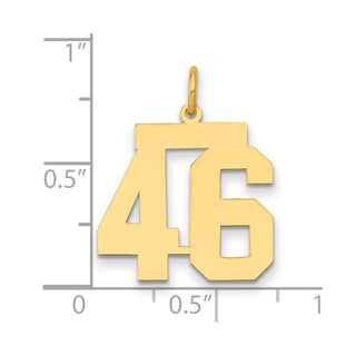 14k Yellow Gold Medium Polished Number 46 Charm LM46