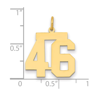 14k Yellow Gold Medium Polished Number 46 Charm LM46