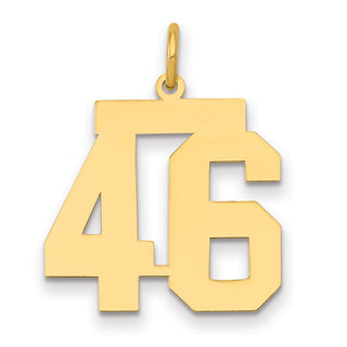 14k Yellow Gold Medium Polished Number 46 Charm LM46