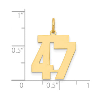 14k Yellow Gold Medium Polished Number 47 Charm LM47