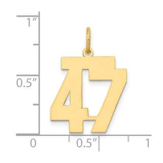 14k Yellow Gold Medium Polished Number 47 Charm LM47