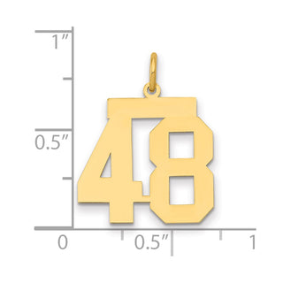 14k Yellow Gold Medium Polished Number 48 Charm LM48