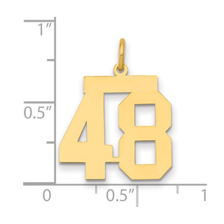 14k Yellow Gold Medium Polished Number 48 Charm LM48