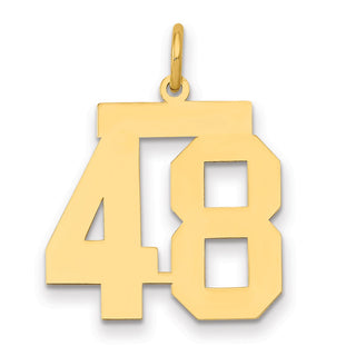 14k Yellow Gold Medium Polished Number 48 Charm LM48