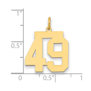 14k Yellow Gold Medium Polished Number 49 Charm LM49