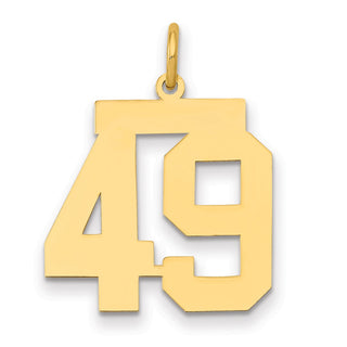 14k Yellow Gold Medium Polished Number 49 Charm LM49