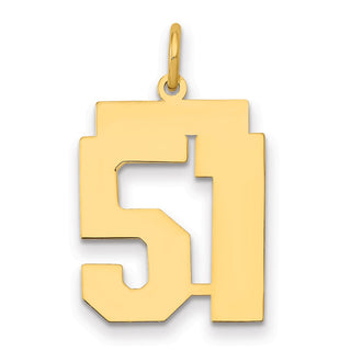 14k Yellow Gold Medium Polished Number 51 Charm LM51